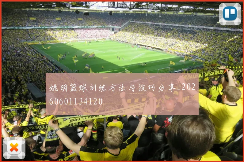 姚明篮球训练方法与技巧分享_20260601134120