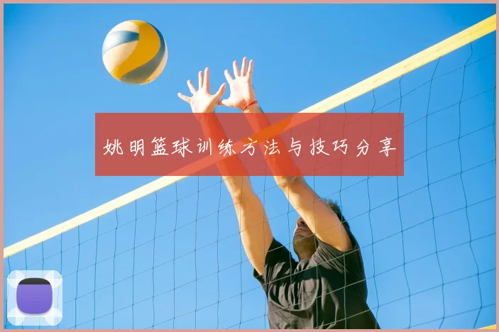 姚明篮球训练方法与技巧分享