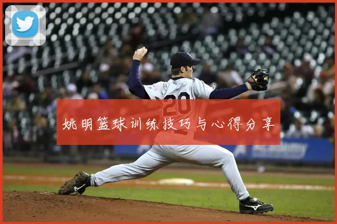 姚明篮球训练技巧与心得分享