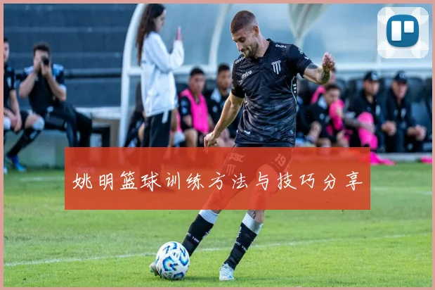 姚明篮球训练方法与技巧分享